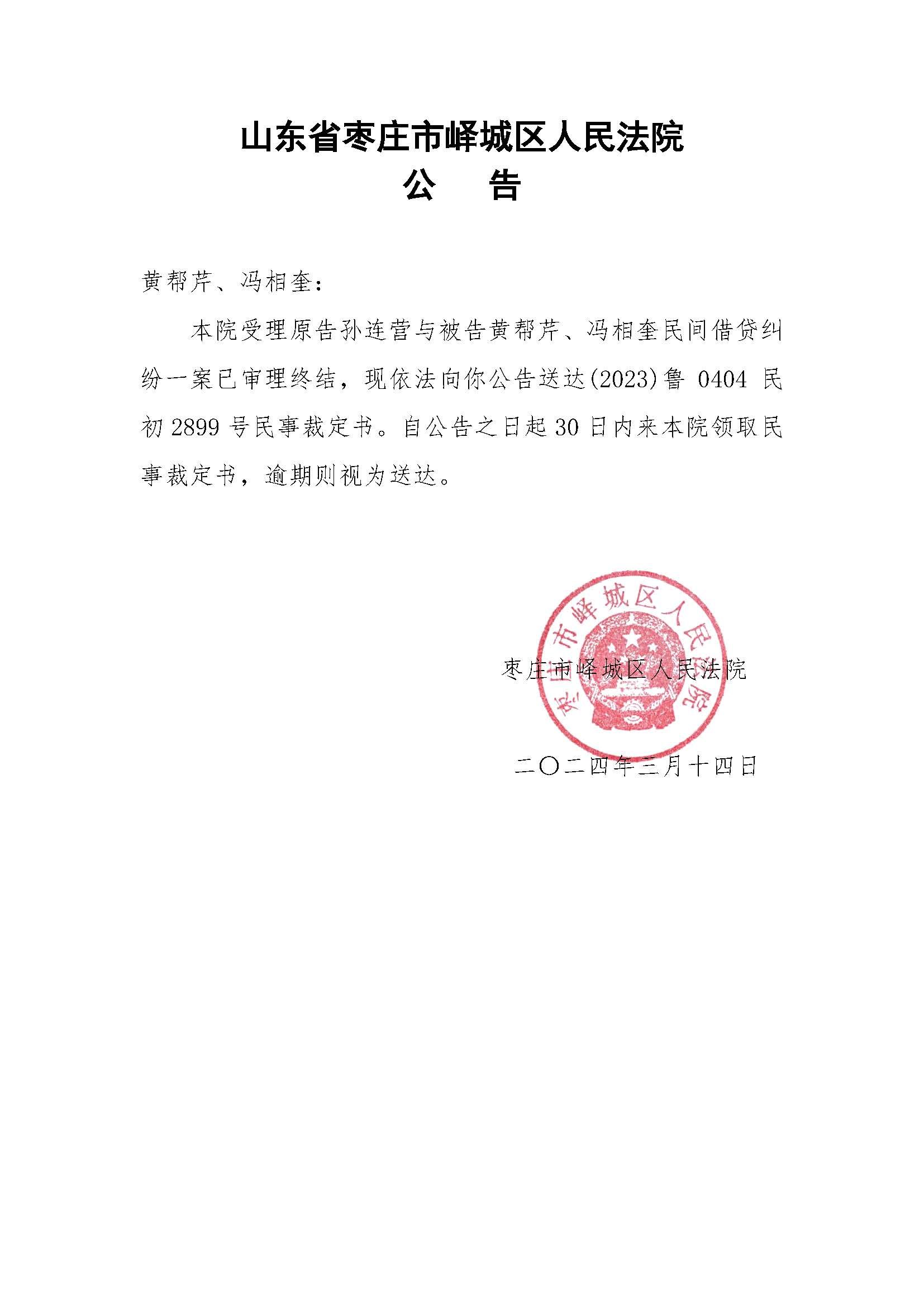 诉状公告裁定书2899